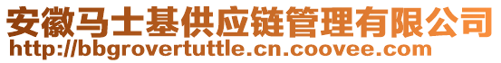 安徽马士基供应链管理有限公司