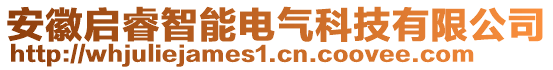 安徽啟睿智能電氣科技有限公司