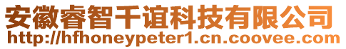 安徽睿智千誼科技有限公司