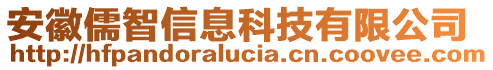 安徽儒智信息科技有限公司