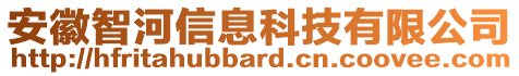 安徽智河信息科技有限公司