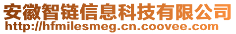 安徽智鏈信息科技有限公司