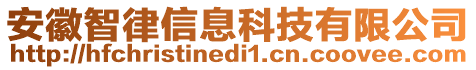 安徽智律信息科技有限公司