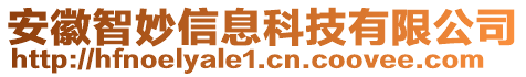 安徽智妙信息科技有限公司