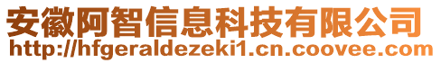 安徽阿智信息科技有限公司