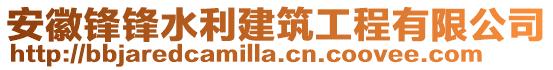 安徽鋒鋒水利建筑工程有限公司