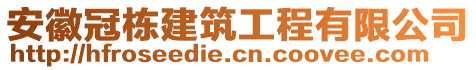 安徽冠棟建筑工程有限公司