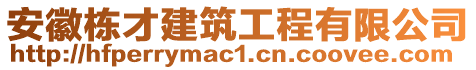 安徽棟才建筑工程有限公司