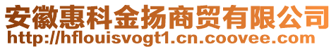 安徽惠科金揚(yáng)商貿(mào)有限公司