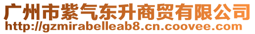 廣州市紫氣東升商貿(mào)有限公司