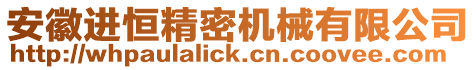 安徽進恒精密機械有限公司