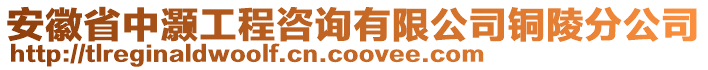 安徽省中灝工程咨詢有限公司銅陵分公司