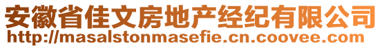 安徽省佳文房地产经纪有限公司