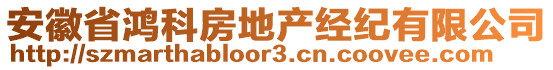 安徽省鸿科房地产经纪有限公司