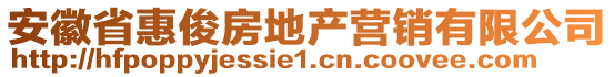 安徽省惠俊房地产营销有限公司