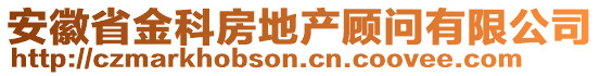 安徽省金科房地产顾问有限公司