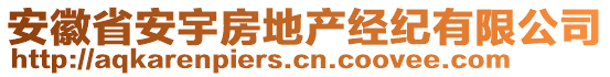 安徽省安宇房地产经纪有限公司