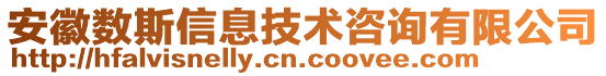 安徽數(shù)斯信息技術(shù)咨詢有限公司