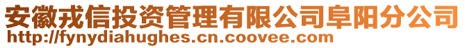 安徽戎信投資管理有限公司阜陽分公司