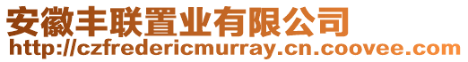 安徽豐聯(lián)置業(yè)有限公司