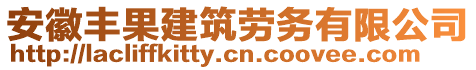 安徽豐果建筑勞務有限公司