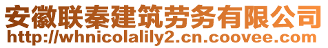 安徽聯(lián)秦建筑勞務(wù)有限公司