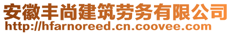 安徽豐尚建筑勞務(wù)有限公司