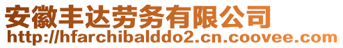 安徽豐達勞務有限公司