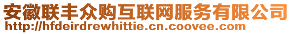 安徽聯(lián)豐眾購(gòu)互聯(lián)網(wǎng)服務(wù)有限公司