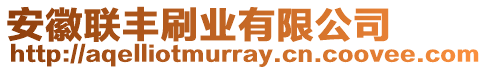 安徽聯(lián)豐刷業(yè)有限公司