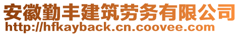 安徽勤豐建筑勞務(wù)有限公司