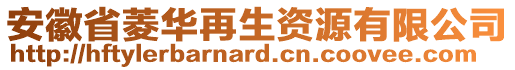 安徽省菱華再生資源有限公司