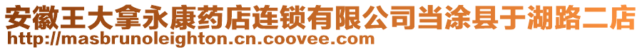 安徽王大拿永康药店连锁有限公司当涂县于湖路二店