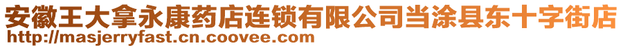 安徽王大拿永康药店连锁有限公司当涂县东十字街店