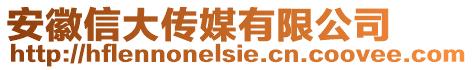 安徽信大傳媒有限公司