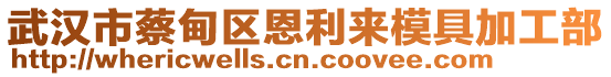 武漢市蔡甸區(qū)恩利來模具加工部