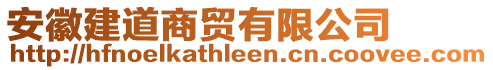 安徽建道商貿(mào)有限公司