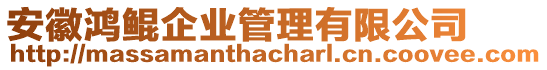 安徽鴻鯤企業(yè)管理有限公司