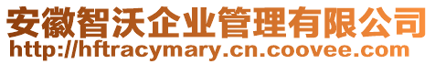 安徽智沃企業(yè)管理有限公司