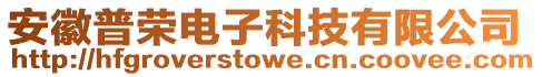 安徽普榮電子科技有限公司