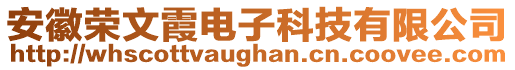 安徽榮文霞電子科技有限公司