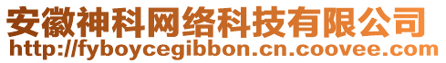 安徽神科網(wǎng)絡(luò)科技有限公司