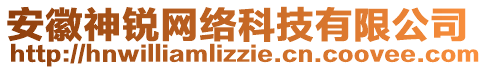 安徽神銳網絡科技有限公司