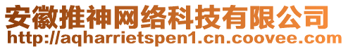 安徽推神網(wǎng)絡(luò)科技有限公司