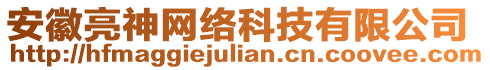 安徽亮神網(wǎng)絡(luò)科技有限公司