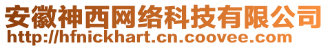 安徽神西網(wǎng)絡(luò)科技有限公司