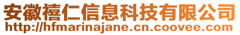 安徽禧仁信息科技有限公司