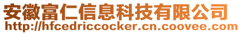 安徽富仁信息科技有限公司