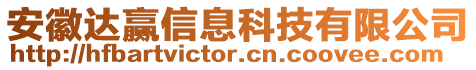 安徽達贏信息科技有限公司