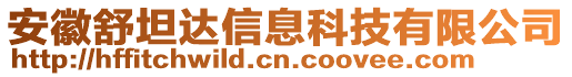 安徽舒坦達(dá)信息科技有限公司